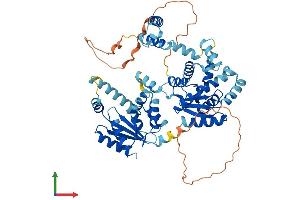 AlphaFold protein structure predicition of Human Recombinant AK5 Protein, UniprotID Q9Y6K8