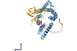 AlphaFold protein structure predicition of Mouse Recombinant Tmem185b Protein, UniprotID Q8R3R5 (TMEM185B Protein (AA 1-350) (His tag))