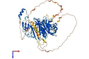 DDB1 and CUL4 Associated Factor 15 (DCAF15) (AA 1-600) protein (His tag)