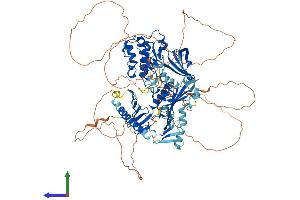 AlphaFold protein structure predicition of Human Recombinant PLK4 Protein, UniprotID O00444