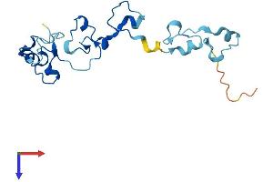 AlphaFold protein structure predicition of Human Recombinant CPSF4L Protein, UniprotID A6NMK7 (CPSF4L Protein (AA 1-179) (His tag))