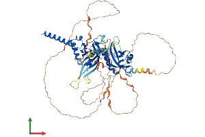 AlphaFold protein structure predicition of Mouse Recombinant Sim2 Protein, UniprotID Q61079 (SIM2 Protein (AA 1-657) (His tag))
