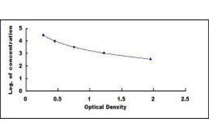 ELISA image for Luteinizing Hormone (LH) ELISA Kit (ABIN6574078)