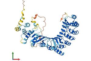 AlphaFold protein structure predicition of Human Recombinant PRAMEF25 Protein, UniprotID A6NGN4 (PRAMEF25 Protein (AA 1-478) (His tag))