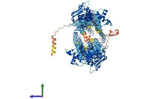 AlphaFold protein structure predicition of Human Recombinant ABCB5 Protein, UniprotID Q2M3G0 (ABCB5 Protein (AA 1-1257) (His tag))