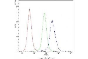 Flow cytometry testing of human Caco-2 cells with IDE antibody at 1ug/10^6 cells (blocked with goat sera) (IDE antibody)