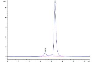 The purity of Cynomolgus IL-17A is greater than 92 % as determined by SEC-HPLC.