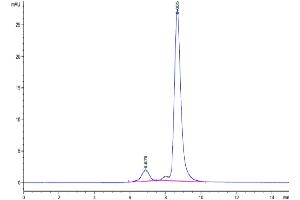 The purity of Cynomolgus IL-17A is greater than 92 % as determined by SEC-HPLC. (Interleukin 17a Protein (AA 24-155) (His-Avi Tag))