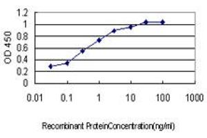 Detection limit for recombinant GST tagged HOXD8 is approximately 0. (HOXD8 antibody  (AA 126-190))