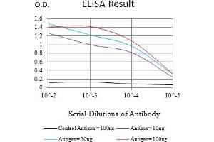 Black line: Control Antigen (100 ng),Purple line: Antigen (10 ng), Blue line: Antigen (50 ng), Red line:Antigen (100 ng) (Mesothelin antibody  (AA 37-286))