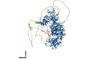 AlphaFold protein structure predicition of Human Recombinant TDRD7 Protein, UniprotID Q8NHU6