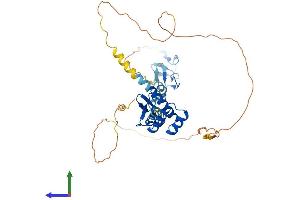 AlphaFold protein structure predicition of Mouse Recombinant Lhx3 Protein, UniprotID P50481 (LHX3 Protein (AA 1-400) (His tag))