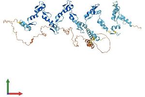 Protein Structure (PS) image for Zinc Finger Protein 418 (ZNF418) (AA 1-676) protein (His tag) (ABIN7545272)