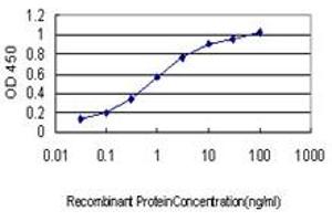 Detection limit for recombinant GST tagged DUSP5 is approximately 0. (DUSP5 antibody  (AA 286-384))