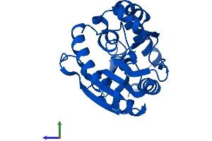Protein Structure (PS) image for Methyltransferase Like 11A (METTL11A) (AA 1-223) protein (His tag) (ABIN7549930)