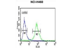Flow Cytometry (FACS) image for anti-Gc antibody (ABIN3003972) (Gc antibody)