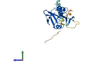AlphaFold protein structure predicition of Human Recombinant KLRG1 Protein, UniprotID Q96E93
