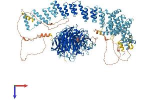 GEMIN5 Protein (AA 1-1502) (His tag)