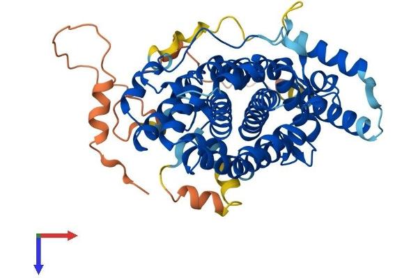 Sestrin 2 Protein (SESN2) (AA 1-480) (His tag)