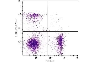 BALB/c mouse splenocytes were stained with Rat Anti-Mouse CD8α-PE/CY5. (CD8 alpha antibody  (PE-Cy5.5))