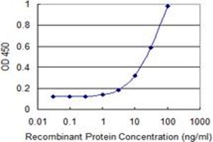 Detection limit for recombinant GST tagged SLC25A16 is 1 ng/ml as a capture antibody. (SLC25A16 antibody  (AA 59-133))