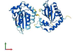 Protein Structure (PS) image for Apolipoprotein B mRNA Editing Enzyme, Catalytic Polypeptide-Like 3B (APOBEC3B) (AA 1-382) protein (His tag) (ABIN7551870)