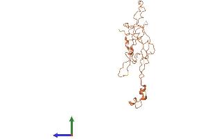 AlphaFold protein structure predicition of Human Recombinant KRTAP10-12 Protein, UniprotID P60413