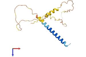 AlphaFold protein structure predicition of Human Recombinant FAM163B Protein, UniprotID P0C2L3 (FAM163B Protein (AA 1-166) (His tag))