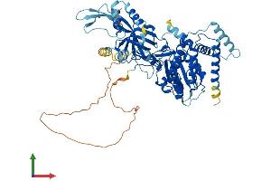 Protein Structure (PS) image for Minichromosome Maintenance Complex Binding Protein (MCMBP) (AA 1-642) protein (His tag) (ABIN7564698)
