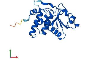 AlphaFold protein structure predicition of Human Recombinant DUSP3 Protein, UniprotID P51452