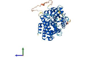 AlphaFold protein structure predicition of Human Recombinant IRAK4 Protein, UniprotID Q9NWZ3 (IRAK4 Protein (AA 1-460) (His tag))