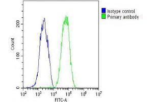 Overlay histogram showing HepG2 cells stained with (ABIN654065 and ABIN2843962) (green line). (Fetuin A antibody  (C-Term))