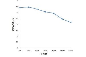 Antigen: 0. (PKC mu antibody  (pTyr463))