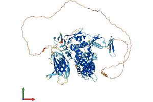 AlphaFold protein structure predicition of Human Recombinant WWP2 Protein, UniprotID O00308 (WWP2 Protein (AA 1-870) (His tag))