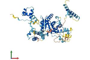 AlphaFold protein structure predicition of Mouse Recombinant Jrkl Protein, UniprotID B2RRL2 (JRKL Protein (AA 1-523) (His tag))