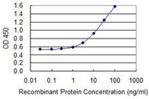 Detection limit for recombinant GST tagged SERPINA3 is 0. (SERPINA3 antibody  (AA 1-423))
