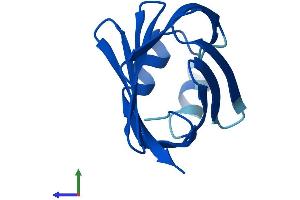 Protein Structure (PS) image for Fatty Acid Binding Protein 1, Liver (FABP1) (AA 1-127) protein (His tag) (ABIN7547501)