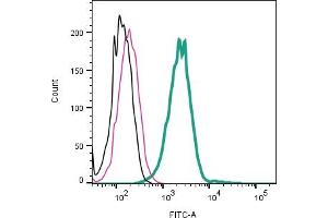 Cell surface detection of nAChRα7 in live intact mouse J774 macrophage cells:___ Cells.