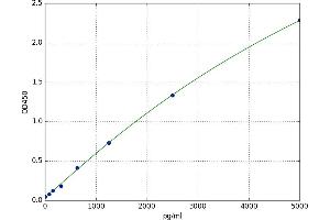 ELOVL Fatty Acid Elongase 7 (ELOVL7) ELISA Kit