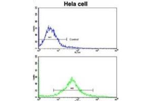 Flow Cytometry (FACS) image for anti-Mast/stem Cell Growth Factor Receptor (KIT) antibody (ABIN2995261)
