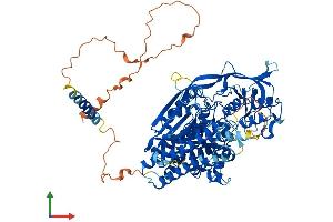 Protein Structure (PS) image for Transferrin Receptor 2 (TFR2) (AA 1-798) protein (His tag) (ABIN7561654)