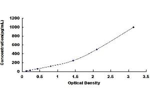 Typical standard curve (MMP14 ELISA Kit)