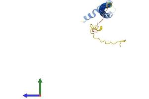 AlphaFold protein structure predicition of Mouse Recombinant Dydc1 Protein, UniprotID Q9D9T0 (DYDC1 Protein (AA 1-175) (His tag))
