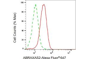 anti-BRISC Complex Subunit Abraxas 2 (ABRAXAS2) antibody