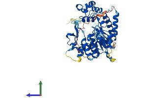 AlphaFold protein structure predicition of Human Recombinant GAL3ST3 Protein, UniprotID Q96A11