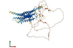 AlphaFold protein structure predicition of Human Recombinant GPR162 Protein, UniprotID Q16538