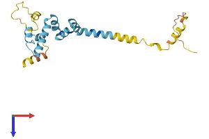 AlphaFold protein structure predicition of Human Recombinant DNAJC5G Protein, UniprotID Q8N7S2 (DNAJC5G Protein (AA 1-189) (His tag))