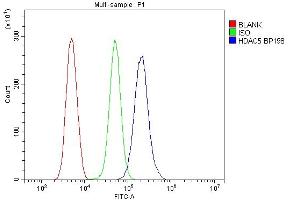 Flow Cytometry analysis of THP-1 cells using anti-HDAC5 antibody (ABIN7599922). (HDAC5 antibody  (AA 13-1107))