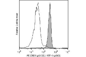 Flow Cytometry (FACS) image for anti-cAMP Responsive Element Binding Protein 1 (CREB1) (pSer133) antibody (PE) (ABIN1177047) (CREB1 antibody  (pSer133) (PE))