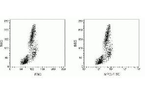 Peripheral blood mononuclear cells stained with FITC-conjugated mouse anti–human myeloperoxidase (MPO). (FIX&PERM® Sample Kit)